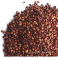 Grape Seed Extract